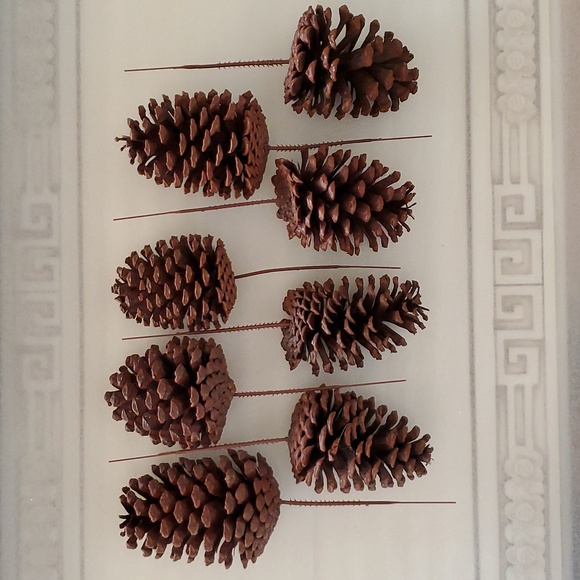 8 Extra Large Natural Pinecones - Picture 1 of 5